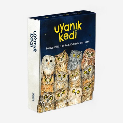 Uyanık Kedi